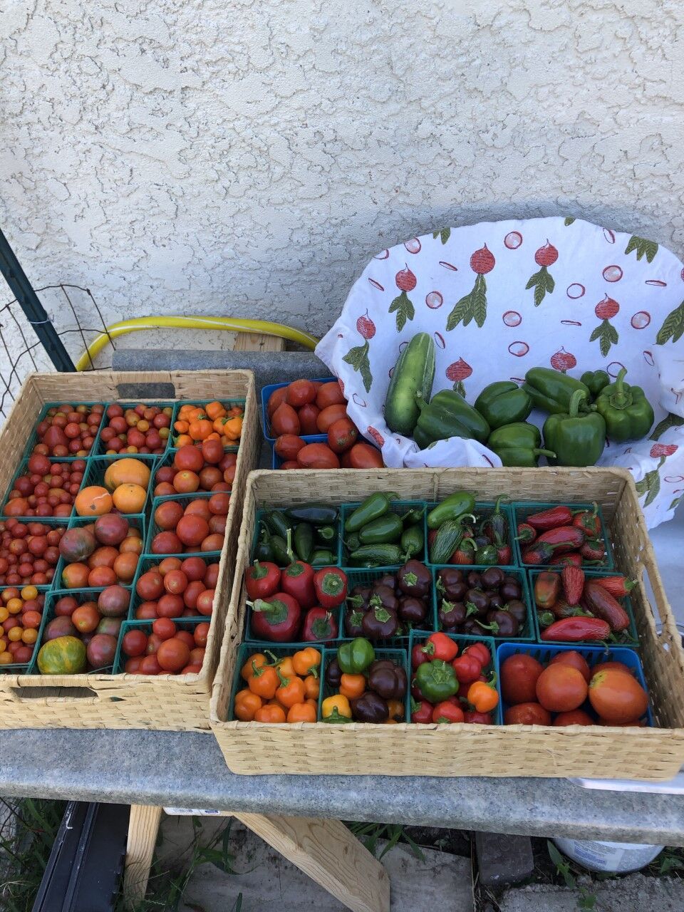 Produce.jpg